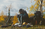 kuva