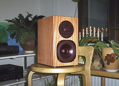 kuva digitaalikameralla (huonolla). 18.12.1999.