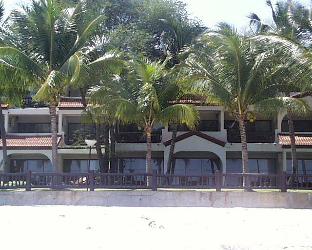 PIC00038.jpg (75882 bytes)